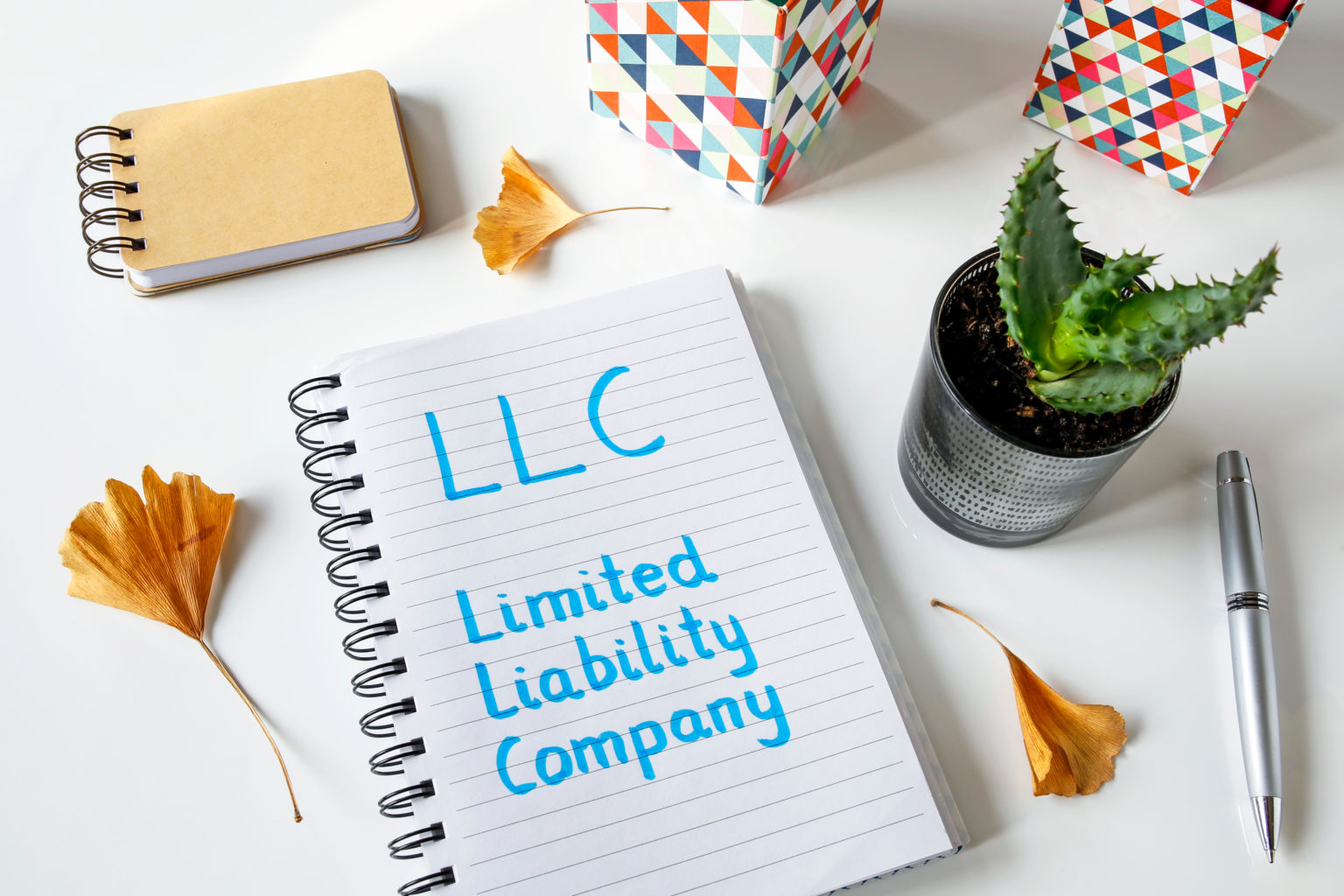 What is a PLLC and What Do They Do? MARIELA RUIZ, CPA, PLLC
